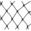 Aviary Netting Heavy Knotted 2 inch Poultry Net (25 ft