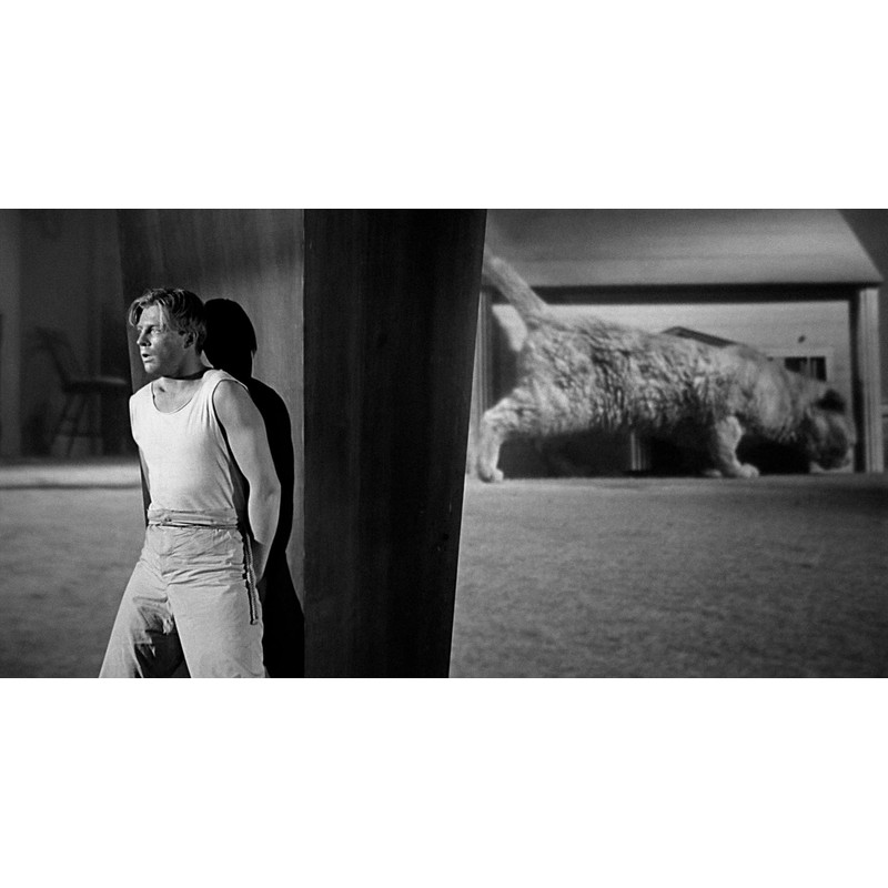 The Incredible Shrinking Man (The Criterion Collection)