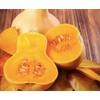 Butternut Squash Seed