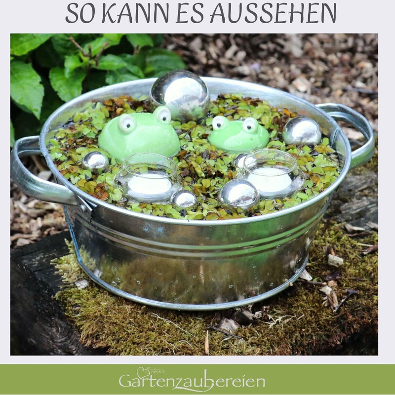 Gartenzaubereien Swimming Frogs Set of 2 with Tea Light Bowls