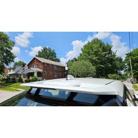 Tenna Tops Bowling Pin Bowler Gift Car Topper with Magnetic Car, Truck, and SUV Roof Antenna Topper Stand (Car Magnet Buddy)