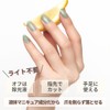 INCOCO Parrot Nail Seal, Just Stick, Nail Polish, No Hardening