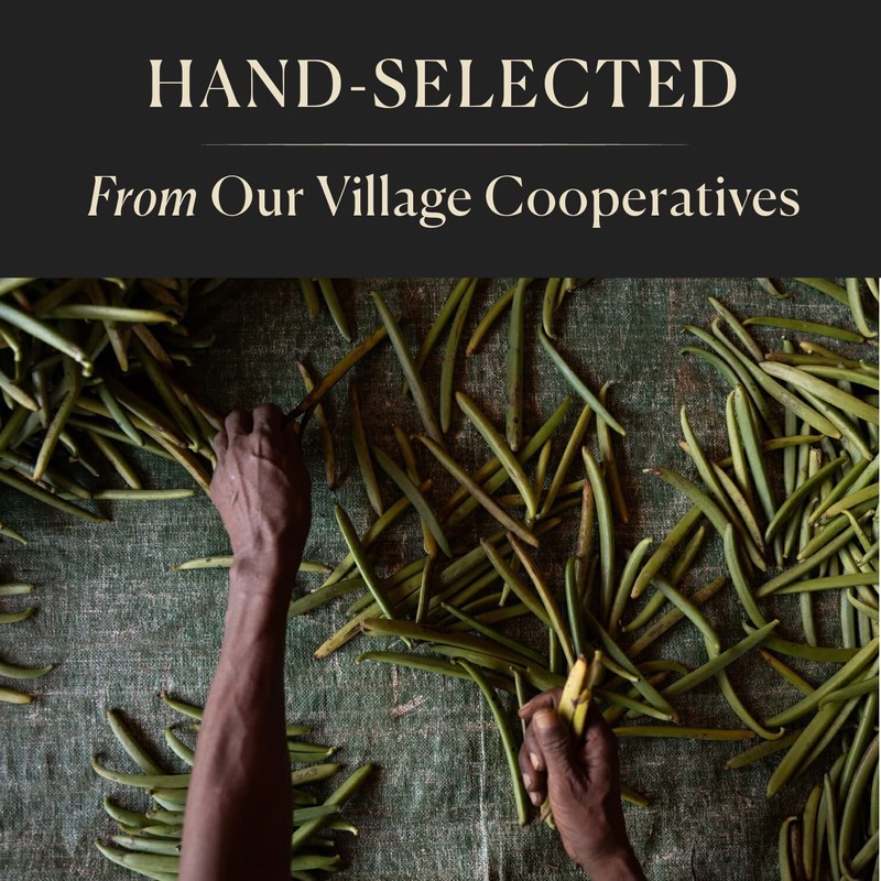 50 Organic Madagascar Whole Vanilla Beans, Grade A Vanilla Pods,