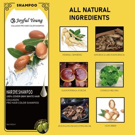 Natural Hair Dye Shampoo - Black - Semi Permanent Hair Coloring Shampoo for Women and Men - Gray Hair Coverage - Color Shampoo Beard Dye - Vegan Ammonia Free Hair Shampoo