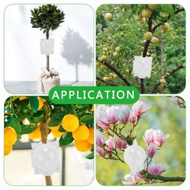 DDBSUN 10PCS Plant Root Growing Box Sturdy Structure Security Lock Lightweight Portable Root Ball Propagation