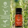3x2 Aceite Esencial de Romero Rosmarinus Officinalis 100% Puro y