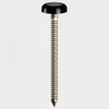 TIMCO PN50BL Polymer Headed Nail 50mm - Black (Box of