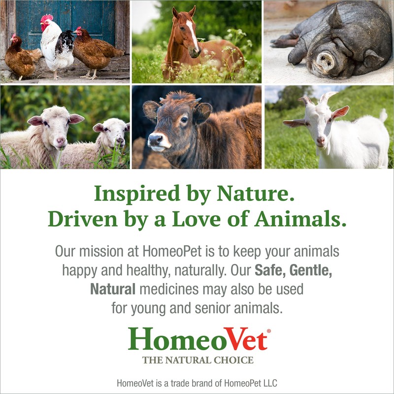 HomeoPet Avian Nose Relief, Safe and Natural Bird and Chicken