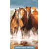 Horses: 2025-2026 28-Month Inspirational Pocket Planner