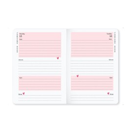 Matilda Moo 2025 diary | A6 diary | day on one page diary | elastic closure | January to December planner | softack diary covers | rose gold detailing | blue