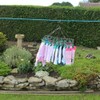 JVL Folding sock hanky dryer complete with 20 pegs