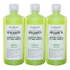 Florigan Shampoo Bergamota Florigan 1lt Crecimiento De Cabello Pack 3