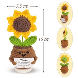 BETESSIN Farewell Gift Educator - Pocket Hug Sunflower Made of Knitting Wool - Positive Potato with Thank You Words - Creative Lucky Charm Gifts for Teacher and Teacher for Kita Farewell