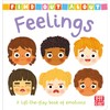 Feelings: A lift-the-flap board book of emotions (Find Out About)