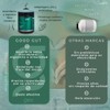 GOOD GUT Probióticos con Inulina de Agave y Hongo Reishi