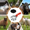 Almohaza Caballo Cepillo Multiusos Herramienta 2 Pzas