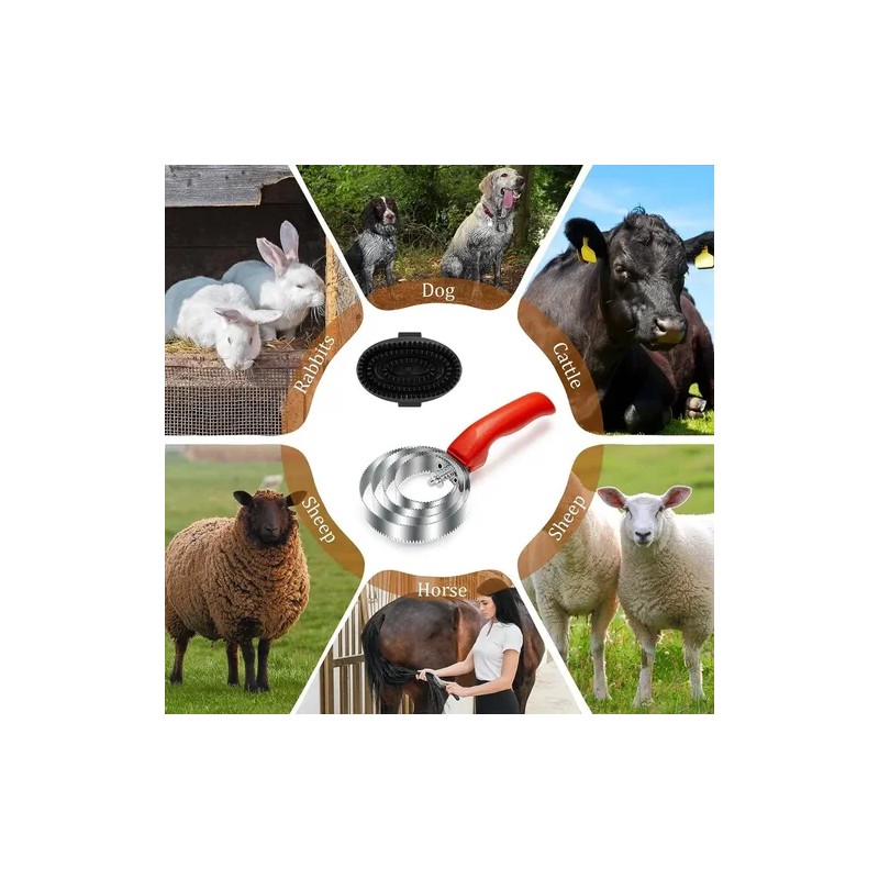 Almohaza Caballo Cepillo Multiusos Herramienta 2 Pzas