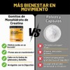 Gomitas De Monohidrato De Creatina 5 G Para Hombres Y