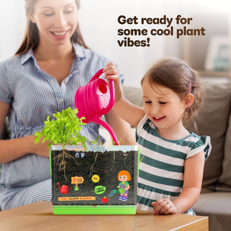 Dan&Darci Root Viewer Kit for Kids - Grow Your Own