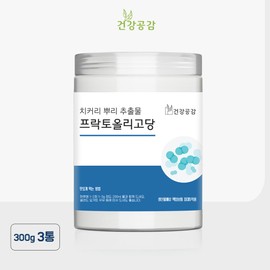 Health Empathy Fructooligosaccharide 300G 3 packs / 건강공감 프락토올리고당 300G 3통