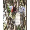 C&S Wild Bird Suet Basket, 1.5" D x 4.5" W