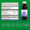 Dynamic Health Blueberry Concentrate, 100% Concentrate, Unsweetened, No Additives, Brain