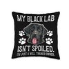 Black Lab Isn't Spoiled Black Lab Owner Black Labrador Lover
