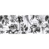 Tim Holtz Idea-Ology Collage Paper Rolls - Entomology, Botanical and