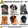 ADITYNA Heavy Duty Dog Collar for Extra-Large Dogs - Reflective