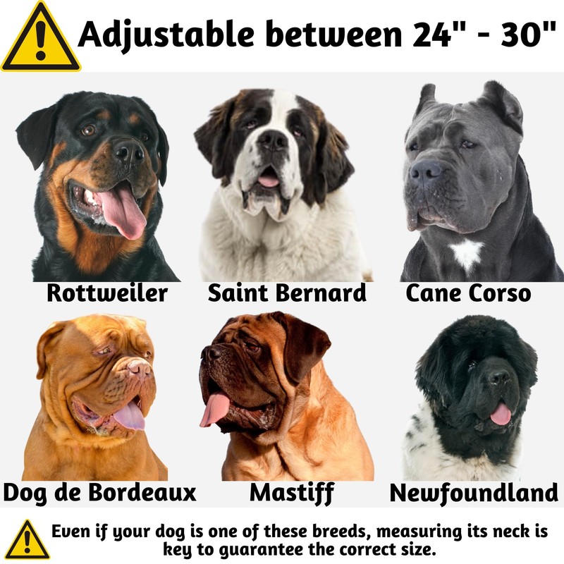 ADITYNA Heavy Duty Dog Collar for Extra-Large Dogs - Reflective