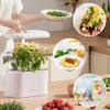 inbloom Herb Seed Pods Kit for AeroGarden, 7-Pods with Basil,