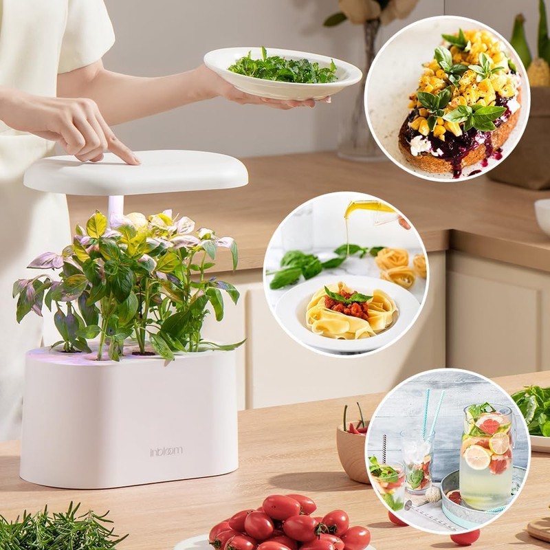 inbloom Herb Seed Pods Kit for AeroGarden, 7-Pods with Basil,