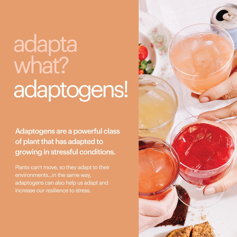 Heywell Sparkling Adaptogenic Water Calm and Restore, Blackberry Ginger Flavor