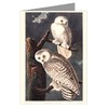 Twelve Assorted Notecards Of John James Audubon Celebrated Illustrations Of