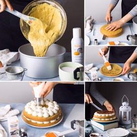 DECORA 0062631 Teglia Professionale Tonda, Alluminio Anodizzato, Argento, 15 x h 5 cm Profi-Backform, Aluminium, eloxiert, rund, Ø cm, 15 x 5 H, Metall, Silber/Schwarz, Ø 15 x 5 cm