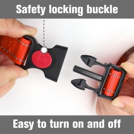 Joytale Martingale Collar for Dogs, Reflective Heavy Duty for Safety, Quick Release Buckle, Adjustable Nylon Collars for Puppy and XSmall Dogs Walking Training, Orange,XS