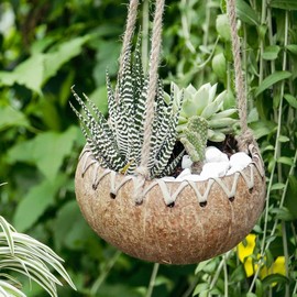 Rainforest Bowls Set of 4 Hanging Fiber Coconut Planters w/Drainage Hole- Perfect for Succulents, Flowers, Small Plants, Indoor & Outdoor Gardens- Handcarved by Artisans, Eco-Friendly & Sustainable