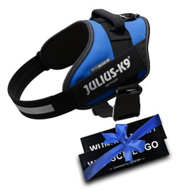 JULIUS K-9 IDC Power Harnesses Blue with Individual Velcro Lettering Bundle Optional Size, Small, Medium and Large Dogs, 16IDC+CUSTOMP-B