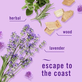 Generic Febreze Plug with Fade Defy Technology Air Freshener - New Limited Edition - (3) of 0.87 fl oz Refills (Mediterranean Lavender), Clear