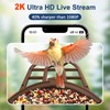 PeckCam® Bird Feeder with Camera, 2K Ultra HD Live Stream