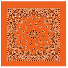 Orange Paisley Bandanna 22x22