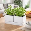 D'vine Dev Herb Garden Planter Set with Saucer, White, 76-Q-A-1