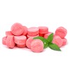 SweetGourmet Pink Wintergreen Lozenges, 3 Pound Bulk Bag, Canada Mints