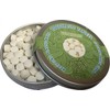The Turtle Tribe Toothpaste Tablets Mint with Flouride 125 Pack