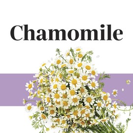 EverRoot Dog Supplement for Dog Anxiety Relief by Purina, Calming Chewable Tablet with Chamomile - 4.23 oz. Canister