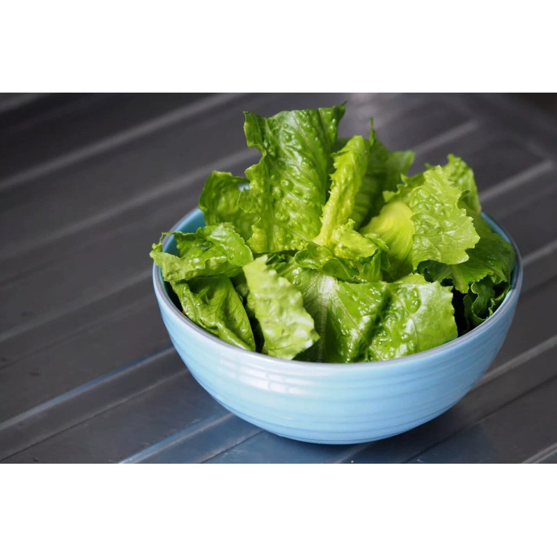 HSC 1200+ Parris Island Romaine Lettuce Seeds | Non-GMO Lettuce