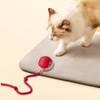 Interactive Cat Toys Ball,2025 New Automatic Moving Pet Toy,Rolling Ball