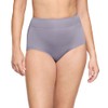 Warner's Women's Pinching No Problems Dig-Free Comfort Waist Microfiber Brief