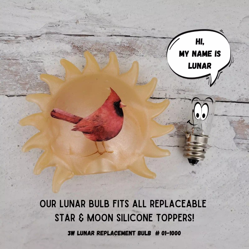 Unbranded Vickie Jean's Lunar Night Light Bulb Replaceable for Silicone