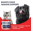 Geneflora Digestive Enzymes and Probiotics for Dogs, Cats, Rabbits and
